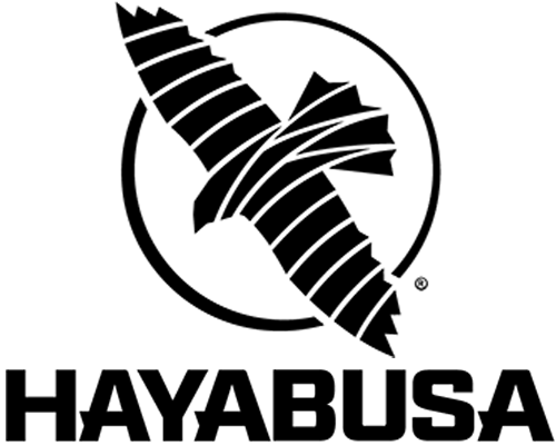 Hayabusa